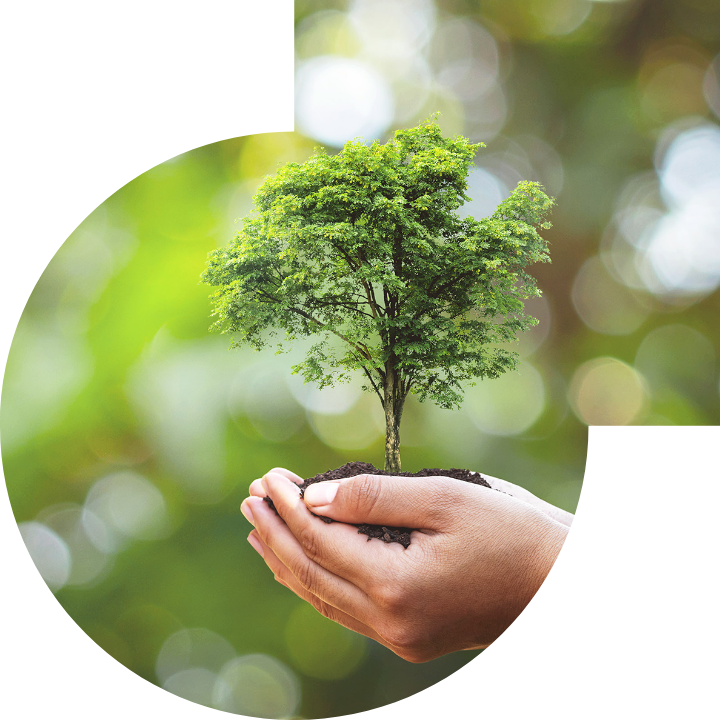 關懷人類、文化、環境與社會