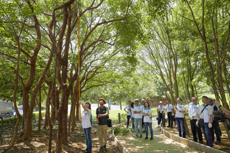 藝師教導大家認識樹木、檢查樹的健康狀況，學習修枝及碎枝覆土